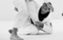 Jiu-Jitsu Brésilien (JJB), MMA - Self Defense, Ginastica Natural, Functional Training, Boxing et Enfants