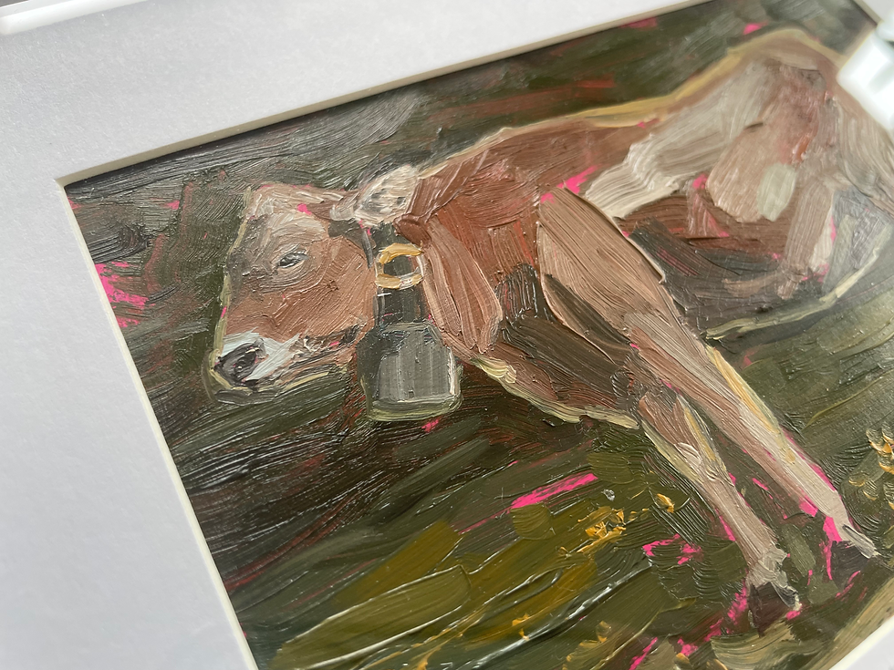 Thumbnail: The Jersey Cow