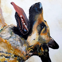 German Shepard pet portrait 