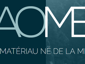 Ils transforment la coquille d'huître en porcelaine. ALEGINA coached by CRI.