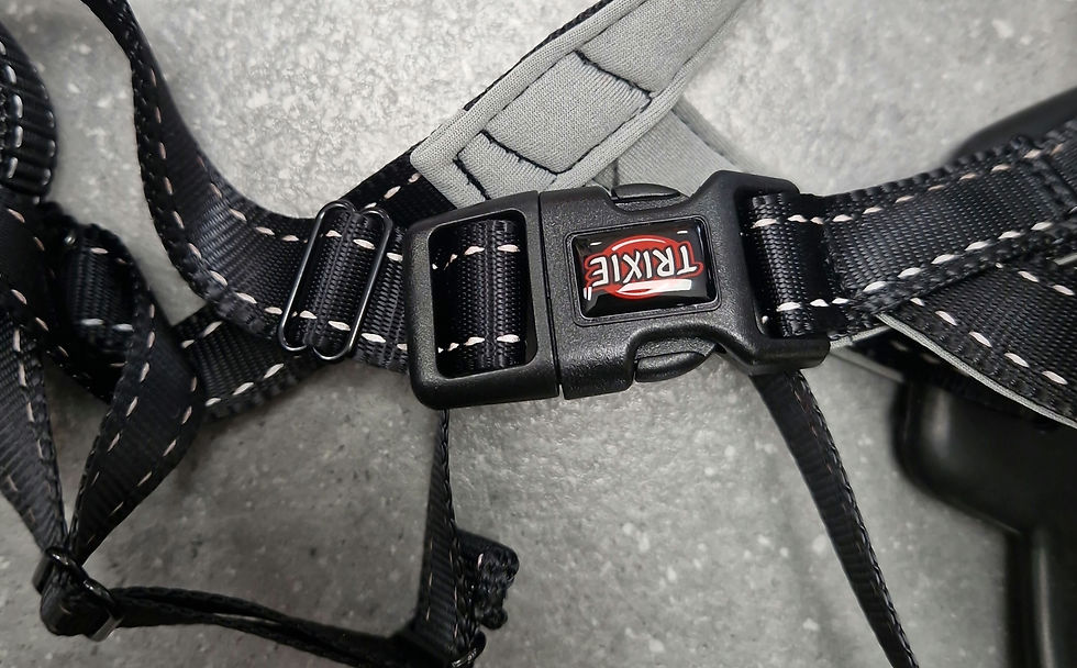 Thumbnail: Trixie flex muzzle L