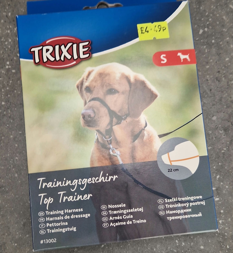 Thumbnail: Trixie training harness XL
