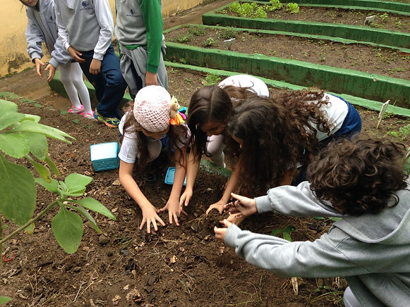 Compostagem (2).JPG