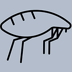 10.png