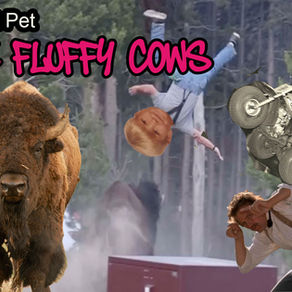 Don't Pet the Fluffy Cows