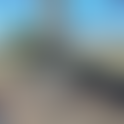 The Life of Rosco: Issue #16