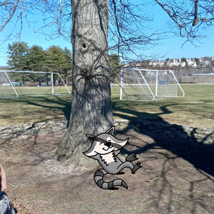 The Life of Rosco: Issue #16