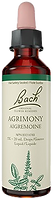 Canada-Bach-Agrimony-600x380__FillMaxWzYwMCw0MjBd-removebg-preview.png