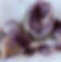 IMG_3839.jpeg