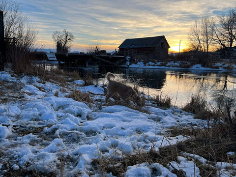 Dog by river with 36 inch trenchless technology crossing below his feet