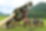 IMG_7825_edited.png
