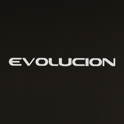 EVOLUCION
