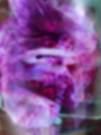 267F7E37-0E10-4501-9B97-289C9D2B1281.jpeg