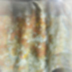 D57F5625-BC94-40FE-A6A1-C3740A3D3844_edited.jpg