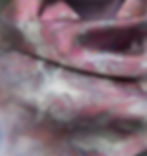 63C3264C-F3F2-4CA0-9933-AF69E97725D0_edited_edited.jpg