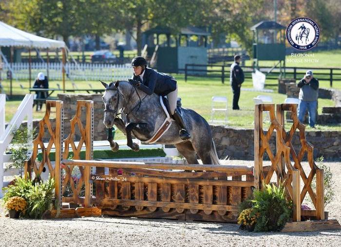 From Racetrack to Upperville Champion: Ifwhizkycouldtalk Proves OTTBs Belong