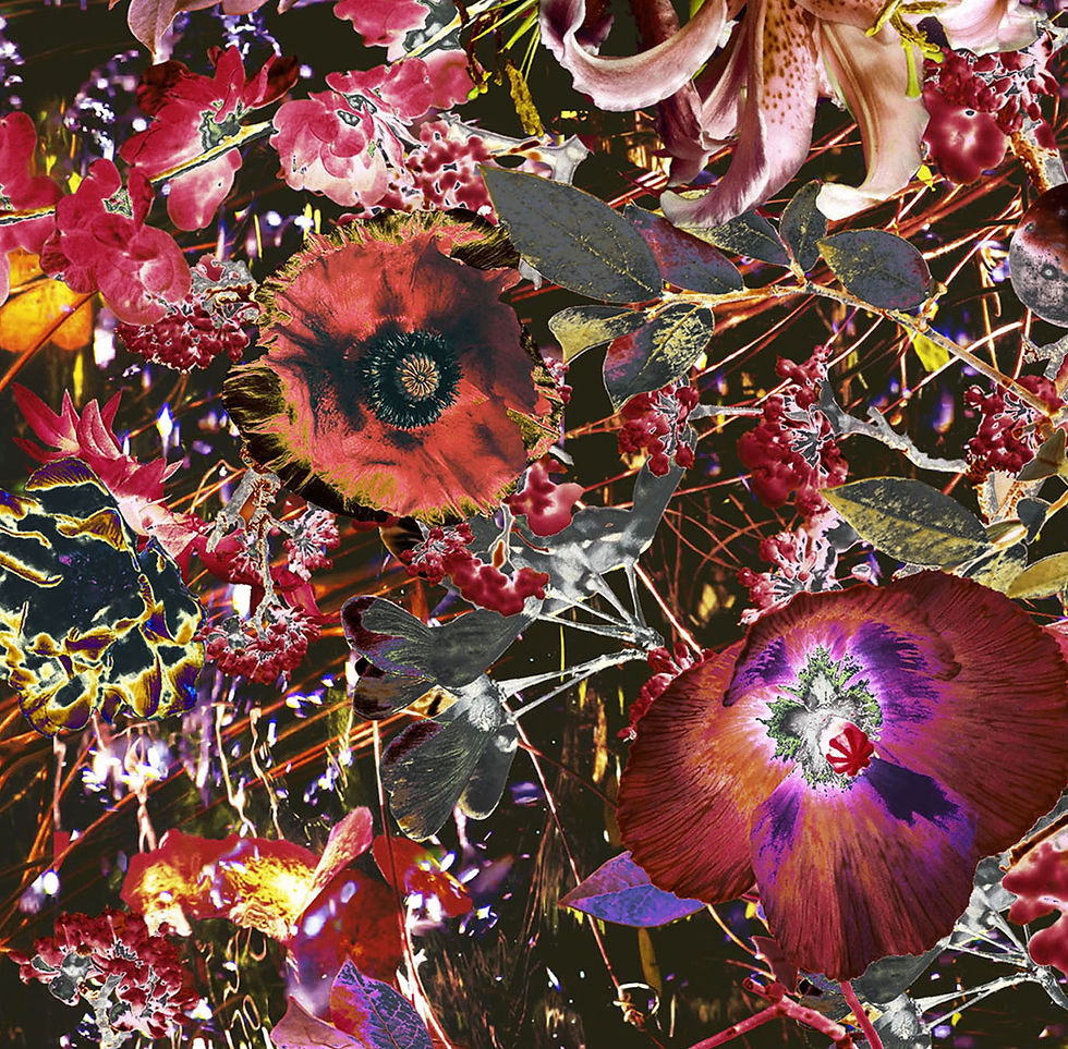 Thumbnail: Sea Flowers - Velvet Fabric - Unique