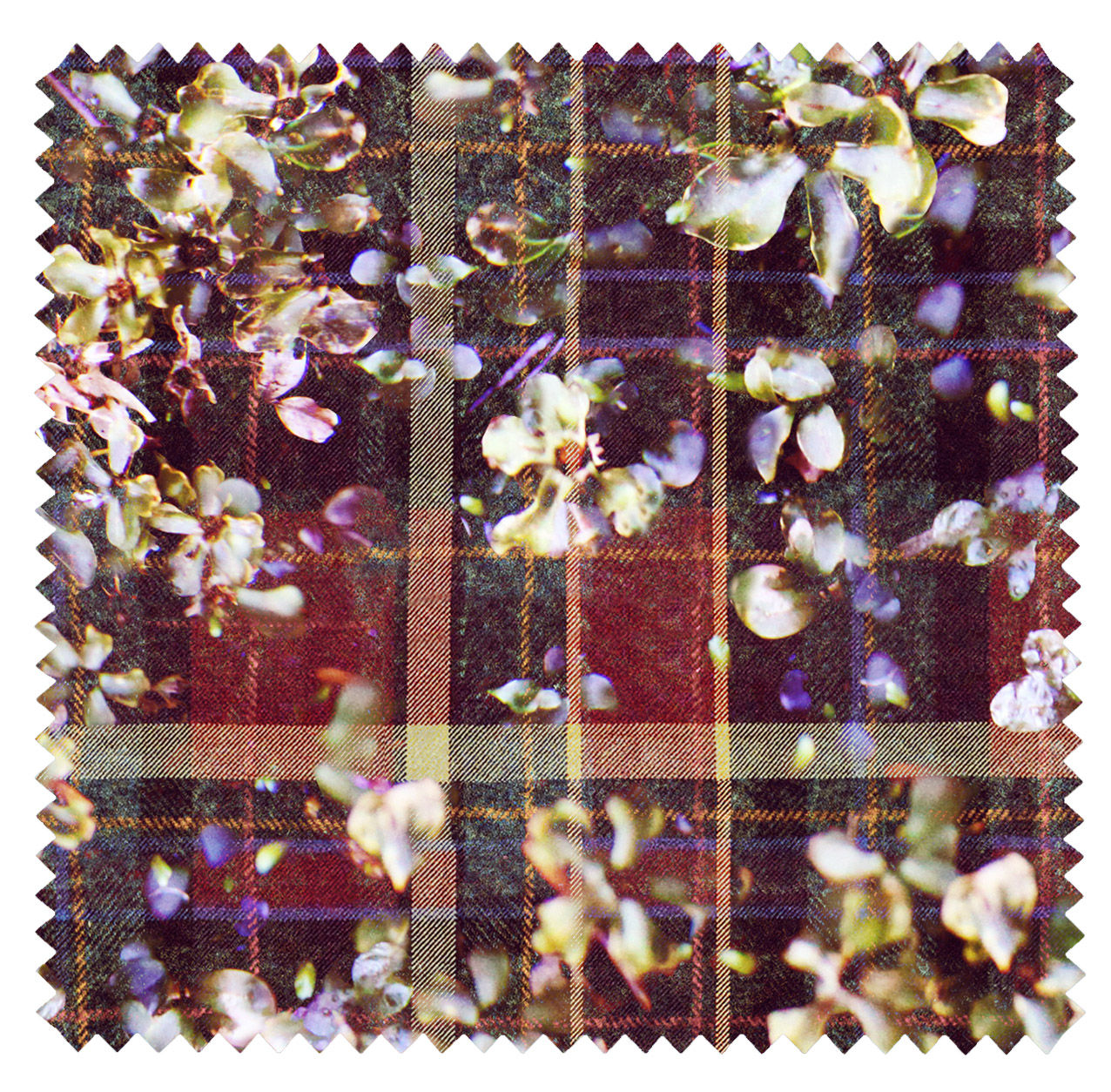 Fabric Sample Velvet - Tweed Flowers - Purple