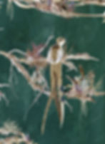 Chinoiserie wallpaper with birds by Good and Craft