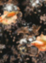 Thumbnail: Luxurious fish wallpaper by Good & Craft with nautical print
