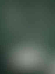 Dark Green Toilet Wallpaper