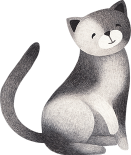 Dibujo del gato