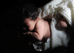 Newborn Morning Light