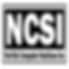 Norfolk Computer Solutions Inc.