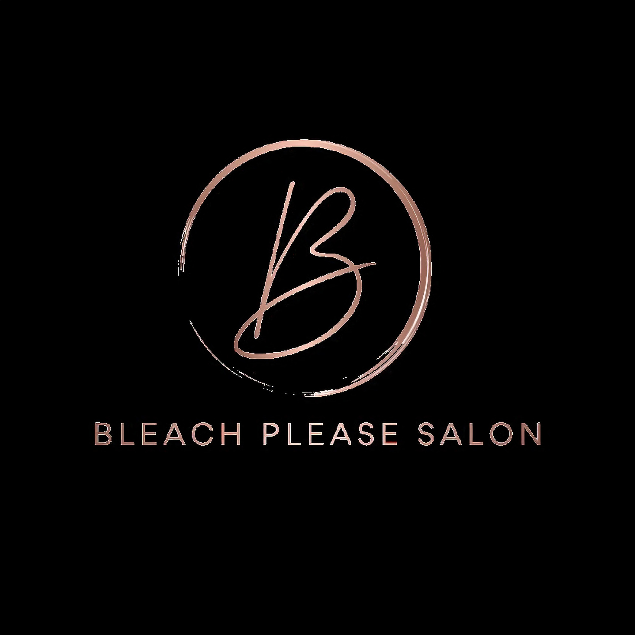 Hair Salon Jacksonville Fl Orange Park Bleach Please Salon