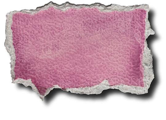 roze kader_edited.png