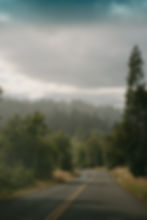 Unsplash_emilyirenephotoco-380.jpg