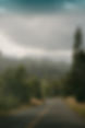 Unsplash_emilyirenephotoco-380.jpg