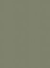 7-subtle-green-sage.jpg