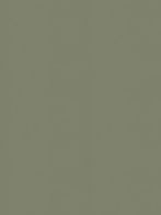 7-subtle-green-sage.jpg