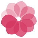 ImpatiensFlower.png