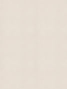 7-subtle-white.jpg