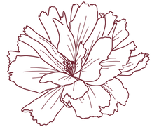 WFD-28 (4).png