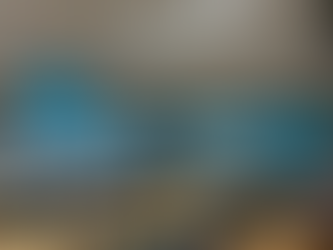 Mock Parliament: Final Preparation Session