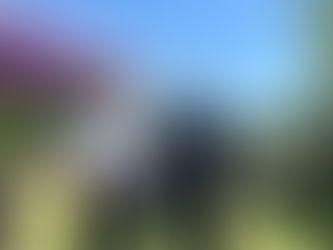 Visiting Wyedean School & Sixth Form and PATA Penguins Nursery