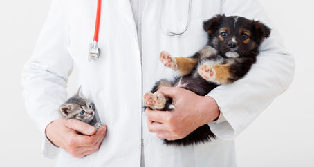 Why Sunrise Vet Offers Unlimited Free Exams