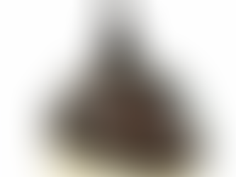 Thanksgiving Message to All Parishioners and Friends of St. Mary's And Sister Churches