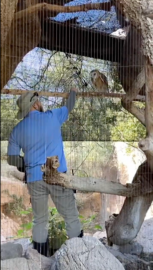 Screenshot 2025-07-26 at 11.18.39 AM.png