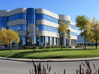 The Benefits of Beautifying Landscapes for Commercial Properties