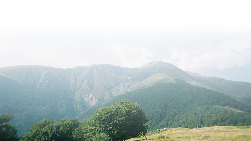 BG.png