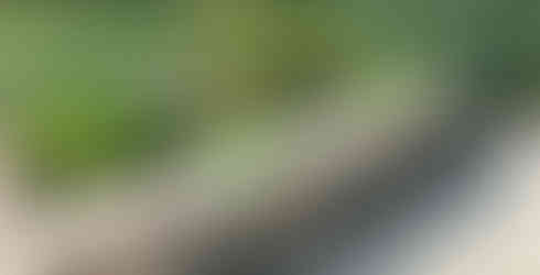 A seating area located in Marquette Park in Gary