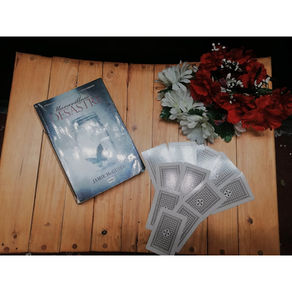 Maravilloso desastre