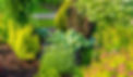 bild01_xl_edited.jpg