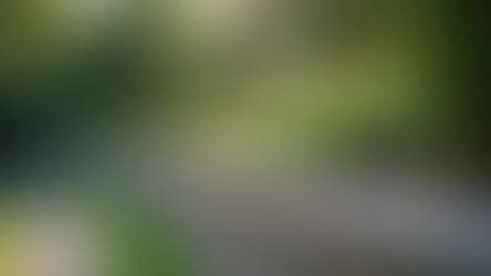 The Importance of Retaining Walls in Landscaping