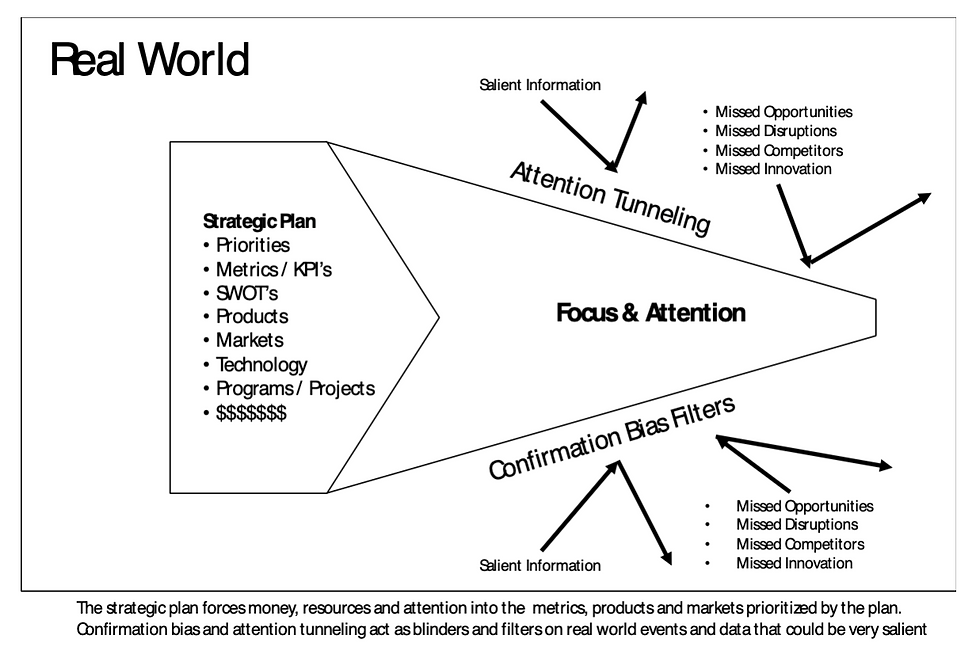 Strategic Planning or Strategic Blindness