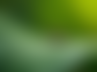 Professional Mosquito Extermination Help for Your Home and Business